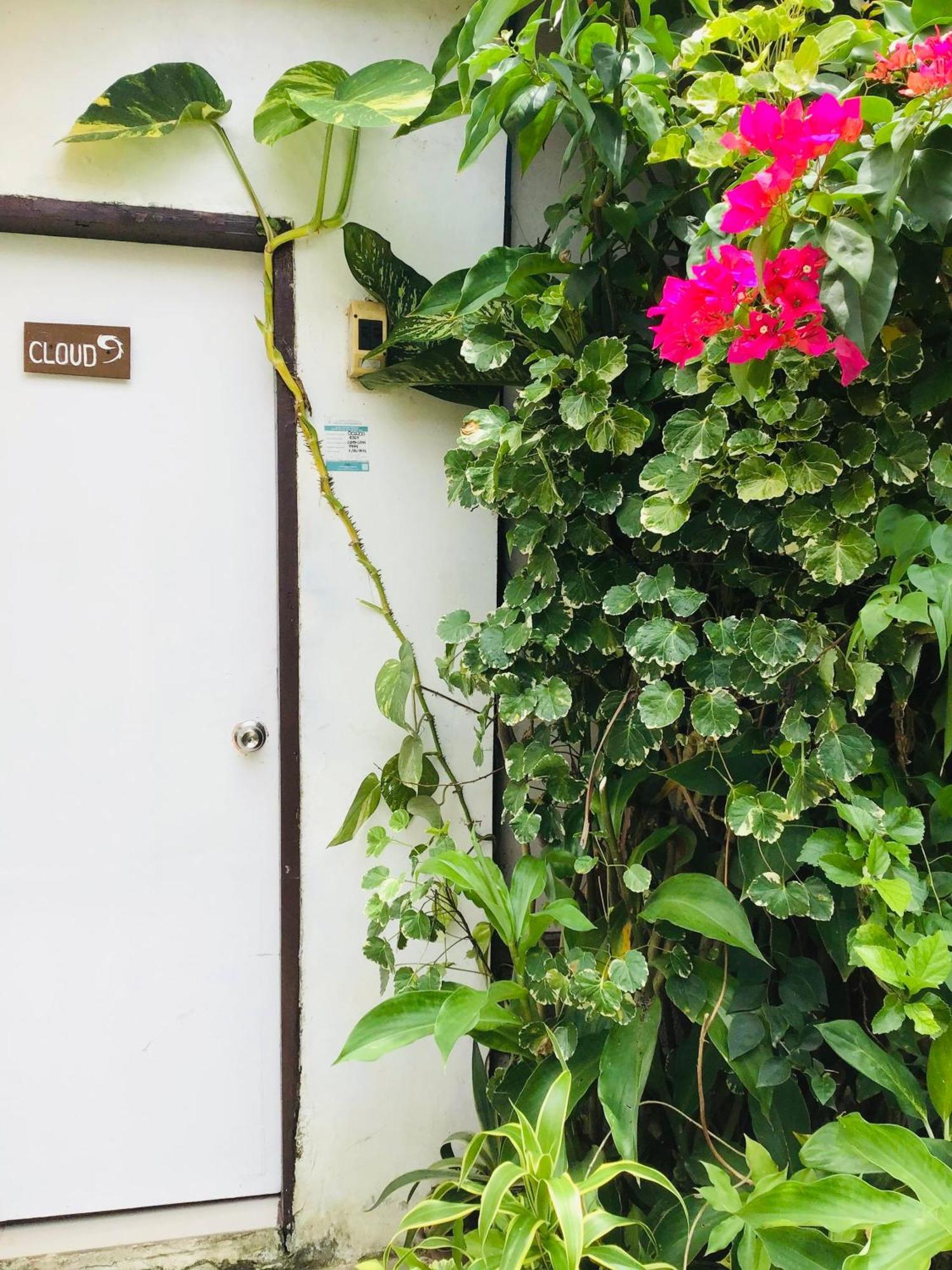 Siargao Zita'S Garden Inn General Luna  Exterior photo
